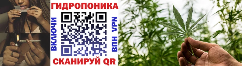 Бошки Шишки LSD WEED  Купить закладки  Северодвинск 
